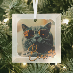 Cat's Modern Simple Cool Grunge Naam en foto Glas Ornament