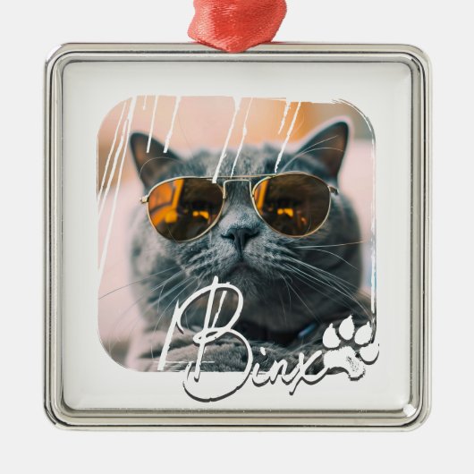 Cat's Modern Simple Cool Grunge Naam en foto Metalen Ornament (Voorkant)