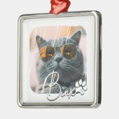 Cat's Modern Simple Cool Grunge Naam en foto Metalen Ornament (Links)