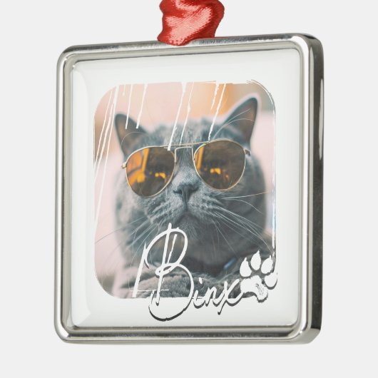 Cat's Modern Simple Cool Grunge Naam en foto Metalen Ornament (Links)