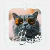 Cat's Modern Simple Cool Grunge Naam en foto Metalen Ornament (Achterkant)