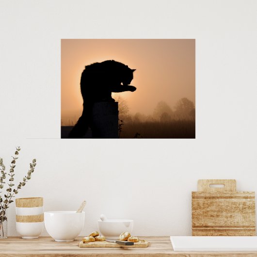 Cat's morning Bath Poster (Keuken)