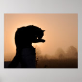 Cat's morning Bath Poster (Voorkant)