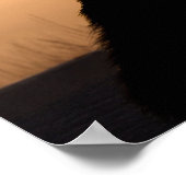 Cat's morning Bath Poster (Hoek)