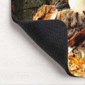 Cats Mousepad Muismat (Hoek)