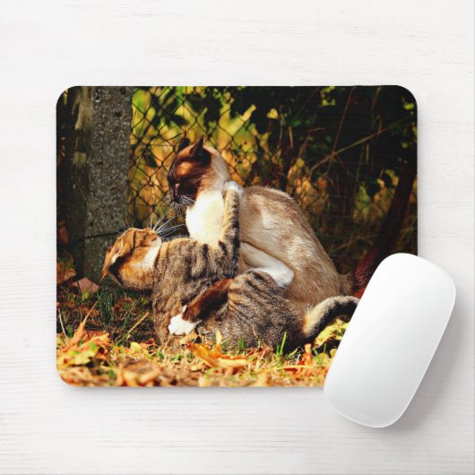 Cats Mousepad Muismat (Met muis)