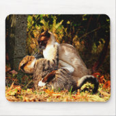 Cats Mousepad Muismat (Voorkant)