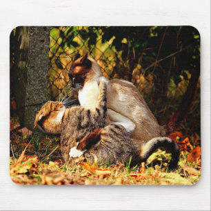 Cats Mousepad Muismat