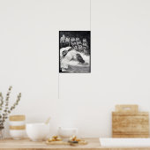 Cats Nightmare (& Owls) Louis Wain copy Poster (Keuken)