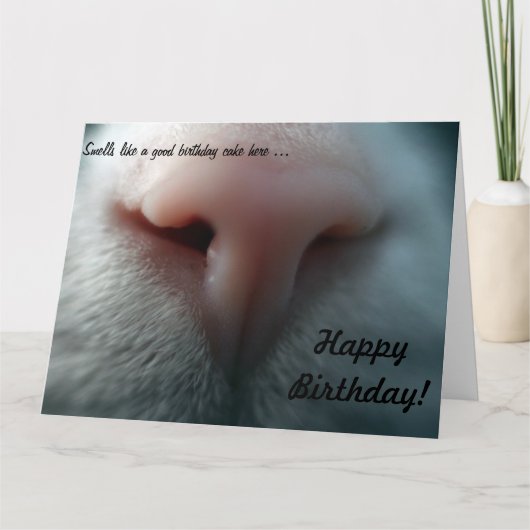 Cat's Nose voor Big Birthday Kaart (Voorkant)