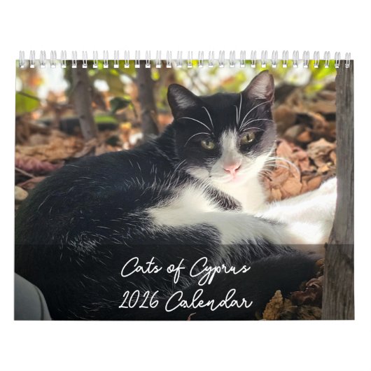 Cats of Cyprus 2026 B by PaphosLife Calendar Kalender (Hoes)