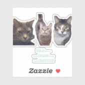 Cats op maat gesneden vinyl Sticker (Vel)