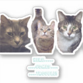 Cats op maat gesneden vinyl Sticker (Voorkant)