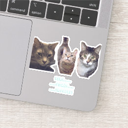 Cats op maat gesneden vinyl Sticker