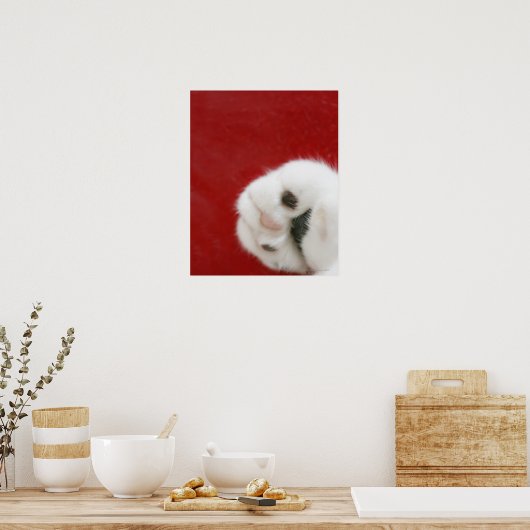 Cat's paw poster (Keuken)