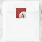 Cat's paw vierkante sticker (Tas)