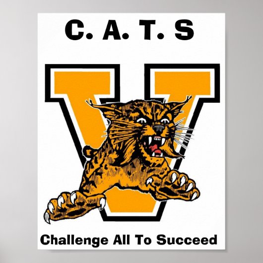 CATS POSTER (Voorkant)