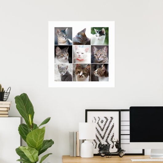 CATS POSTER (Thuiskantoor)