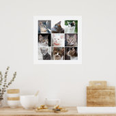 CATS POSTER (Keuken)