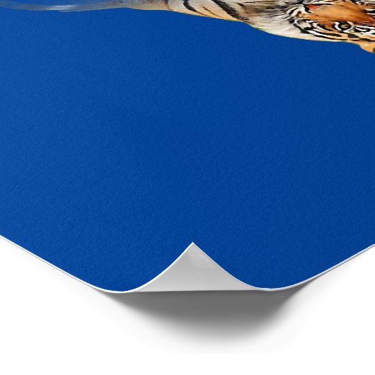 Cats Reflection Friend Cat Lovers Cute Tiger Poster (Hoek)