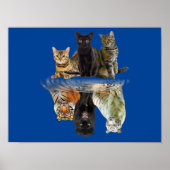 Cats Reflection Friend Cat Lovers Cute Tiger Poster (Voorkant)