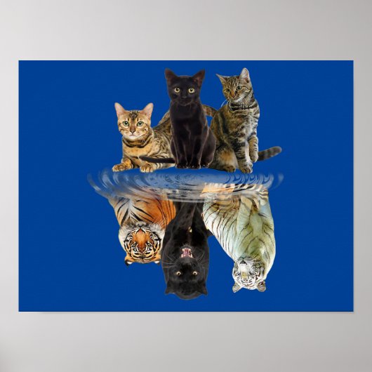 Cats Reflection Friend Cat Lovers Cute Tiger Poster (Voorkant)