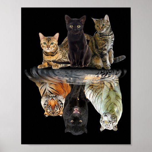 Cats Reflection Friend Cat Lovers Cute Tiger Poster (Voorkant)