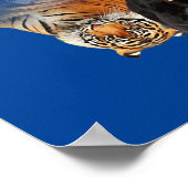 Cats Reflection Friend Cat Lovers Cute Tiger Poster (Hoek)