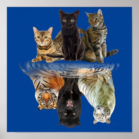 Cats Reflection Friend Cat Lovers Cute Tiger Poster (Voorkant)