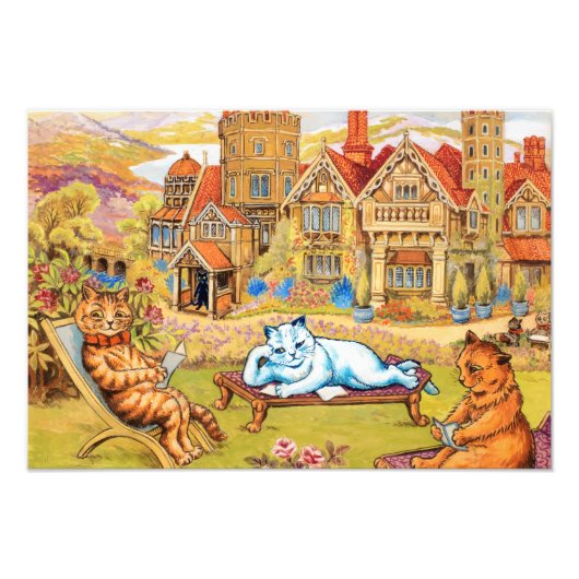 Cats relaxing in the Grounds at Napsbury by Wain Foto Afdruk (Voorkant)