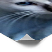 Cats Relaxing Poster (Hoek)