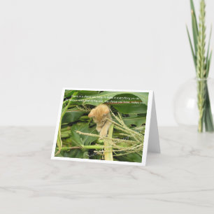 Cat's Rule Blank Note Cards Bedankkaart