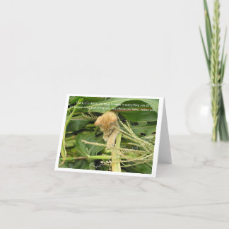 Cat's Rule Blank Note Cards Bedankkaart