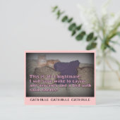 Cats Rule Briefkaart (Staand voorkant)