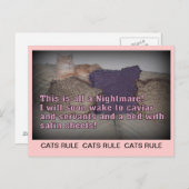 Cats Rule Briefkaart (Voorkant / Achterkant)