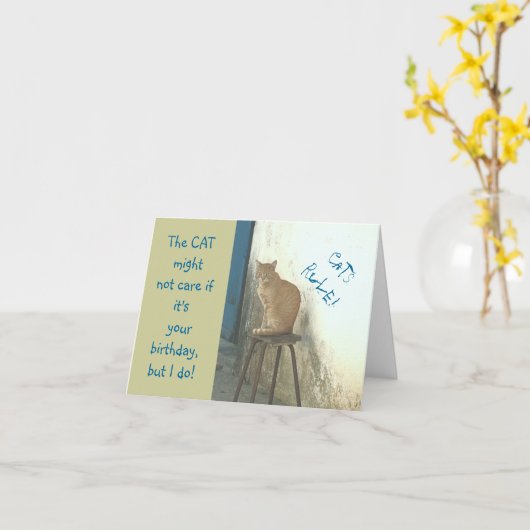 "CATS RULE/CAT NEERGESTREKEN OP ONTLASTING" HUMORI KAART (Gele Bloem)