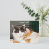 Cats Rule Cute Briefkaart (Staand voorkant)