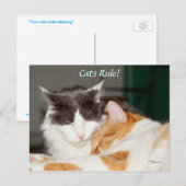 Cats Rule Cute Briefkaart (Voorkant / Achterkant)