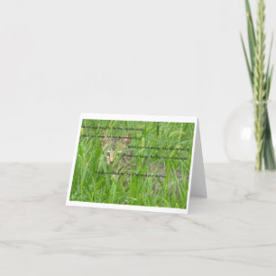 Cats Rule Note Cards Bedankkaart