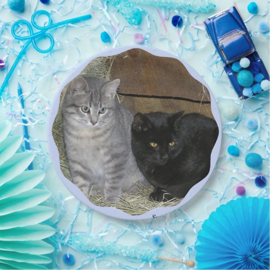 Cats Rule Paper Bord (Feest)