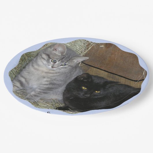 Cats Rule Paper Bord (Gekanteld)