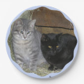 Cats Rule Paper Bord (Voorkant)