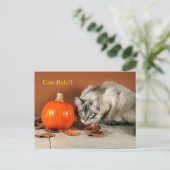 Cats Rule Siamese Post Card Briefkaart (Staand voorkant)