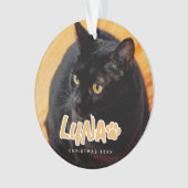Cat's Simple Modern Speelse Typografie Naam Foto Ornament (voorkant)
