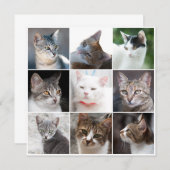 CATS sjabloon - foto wijzigen (Voorkant / Achterkant)