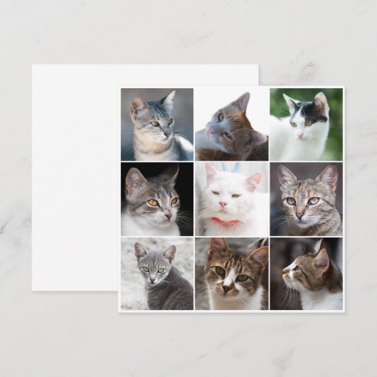 CATS sjabloon - foto wijzigen (Voorkant / Achterkant)