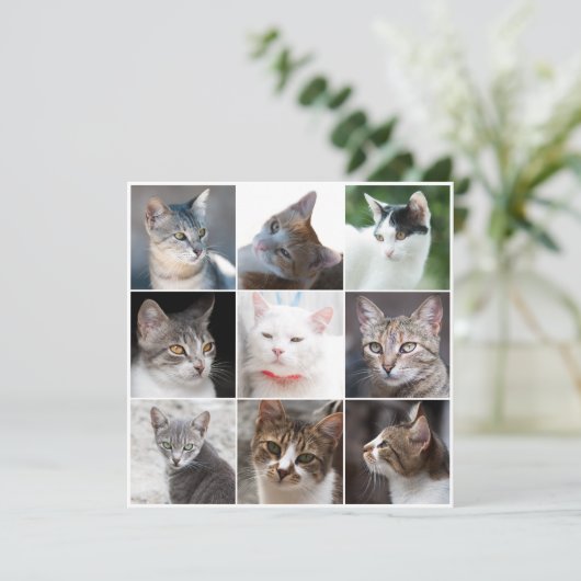 CATS sjabloon - foto wijzigen (Staand voorkant)