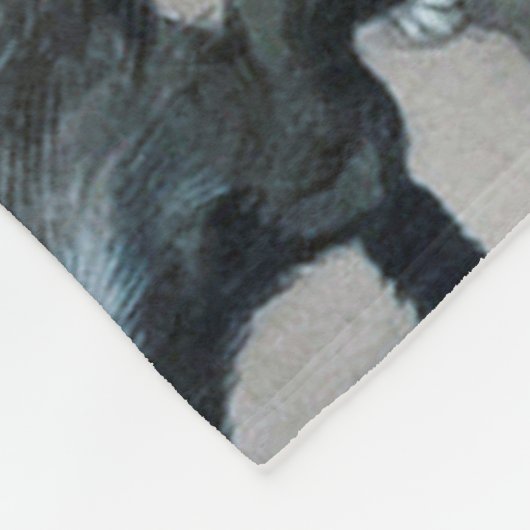 Cats Snowball Fight, Louis Wain Fleece Deken (Hoek)