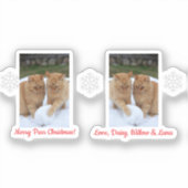 Cats Snowball, Image Names Text, Customize,  Sticker (Voorkant)