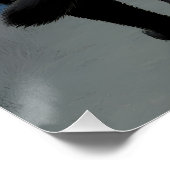 Cats Valentijnsdag vakantie Kaart met roze hart Perfect Poster (Hoek)